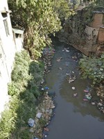 <div id=myiframe><iframe src=http://www.facebook.com/plugins/like.php?href=http%3A%2F%2Fsajha%2Ecom%2Fsajha%2Fhtml%2Findex%2Ecfm%3Frecommendations%3D1%26id%3D190%26photofile%3DIMG%5F20161107%5F135410%2Ejpg&layout=standard&show_faces=false&share=true&width=450&action=like&colorscheme=dark&height=15 scrolling=no frameborder=0 allowTransparency=true></iframe></div>